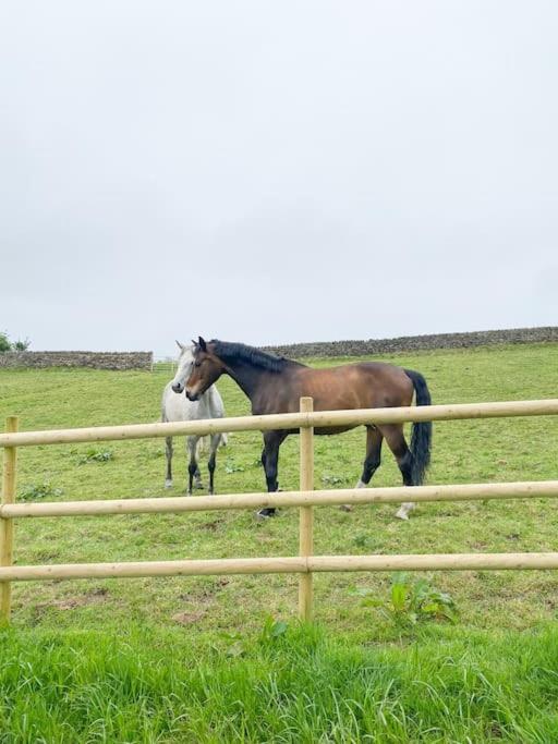 Luxury Detached Peak District Stone Barn - Dog Friendly Villa Hazelwood Dış mekan fotoğraf