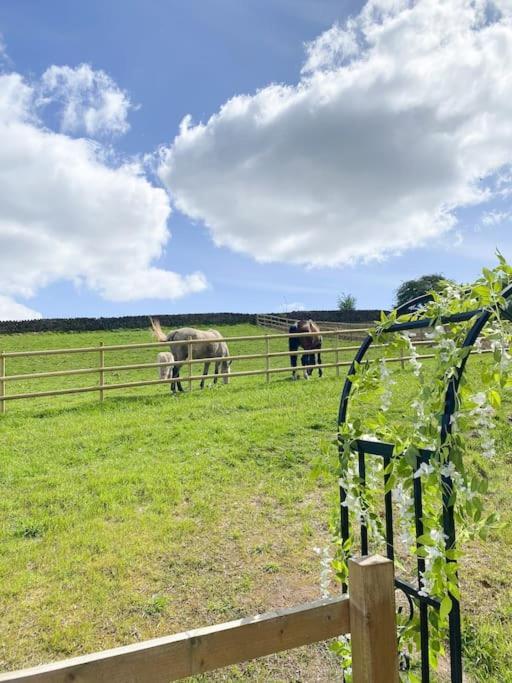Luxury Detached Peak District Stone Barn - Dog Friendly Villa Hazelwood Dış mekan fotoğraf