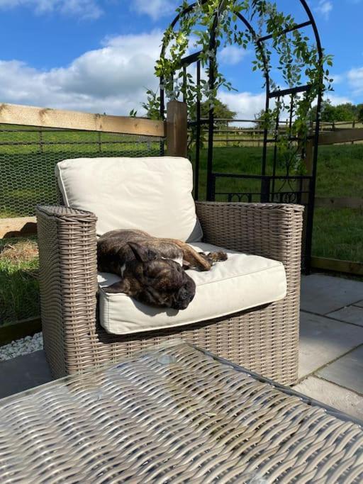 Luxury Detached Peak District Stone Barn - Dog Friendly Villa Hazelwood Dış mekan fotoğraf
